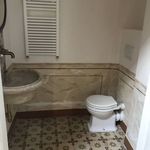 Rent 8 bedroom apartment of 240 m² in Bagno a Ripoli
