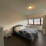 Rent 3 bedroom house in Beveren