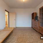 Rent 1 bedroom house of 40 m² in Pardubice