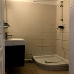 Rent 1 bedroom apartment of 32 m² in Saint-Etienne