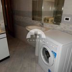Rent 3 bedroom apartment of 90 m² in Mondovì
