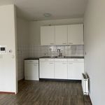 Rent 1 bedroom apartment in Oldenzaal