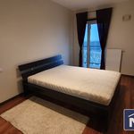 Rent 8 bedroom apartment of 82 m² in Warszawa