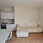 Rent 2 bedroom apartment of 55 m² in Viadana