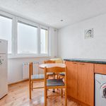 Rent 1 bedroom apartment of 37 m² in Karviná