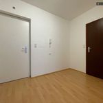 Miete 3 Schlafzimmer wohnung von 84 m² in Judenburg