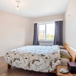 Rent 3 bedroom apartment of 107 m² in Oostrozebeke