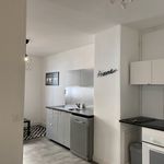 Appartement de 58 m² avec 3 chambre(s) en location à Lyon