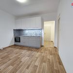 Rent 1 bedroom apartment of 38 m² in Klášterec nad Ohří