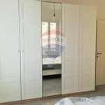 Rent 3 bedroom apartment of 50 m² in Jesi