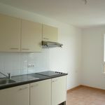 Appartement de 104 m² avec 4 chambre(s) en location à Colomiers
