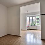Rent 1 bedroom apartment in Brussels
