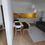 Rent 1 bedroom apartment in Leiria
