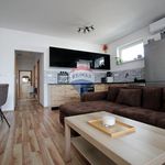 Rent 3 bedroom apartment of 88 m² in Číhošť