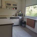 Rent 3 bedroom apartment of 68 m² in Decin