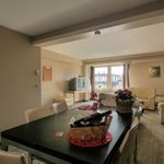 Rent 1 bedroom apartment of 538 m² in Antwerpen