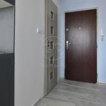 Pronajměte si 1 ložnic/e byt o rozloze 21 m² v Chodov