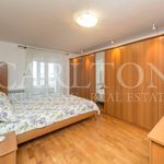 Rent 3 bedroom apartment of 100 m² in Zagreb