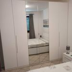 Rent 2 bedroom apartment of 55 m² in Labico