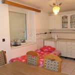 Rent 1 bedroom apartment in Trubín