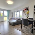 Rent 2 bedroom apartment of 52 m² in Prague