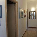 Affitto 6 camera casa di 110 m² in Palermo