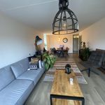 Rent 3 bedroom apartment of 78 m² in Heerenveen