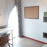 Appartement de 20 m² avec 1 chambre(s) en location à Avignon