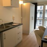Rent 1 bedroom apartment of 27 m² in Vlaardingen