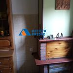 Rent 4 bedroom apartment of 65 m² in Ravenna