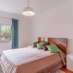 Rent 3 bedroom apartment of 180 m² in Zimbreiros