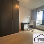 Huur 3 slaapkamer appartement van 135 m² in Etterbeek