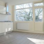 Rent 1 bedroom apartment of 34 m² in Pletterijstraat