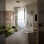 Rent 1 bedroom apartment of 30 m² in Split