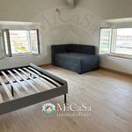 Rent 1 bedroom apartment of 50 m² in Pisa
