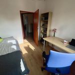 Rent 4 bedroom apartment of 10 m² in Kraków