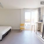 Rent 1 bedroom apartment of 25 m² in Villejuif