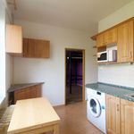 Rent 3 bedroom apartment of 53 m² in Pilsen