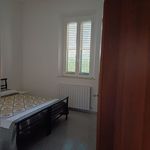 Rent 3 bedroom apartment of 66 m² in Pisa