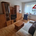 Rent 1 bedroom apartment of 23 m² in Karviná