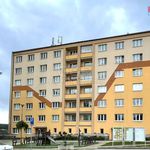 Rent 1 bedroom apartment of 35 m² in Habartov