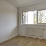 Rent 3 bedroom apartment of 84 m² in Amsterdam
