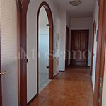 Rent 6 bedroom house of 80 m² in Frosinone