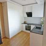 Rent 2 bedroom apartment of 56 m² in Łódź