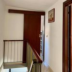 Rent 3 bedroom apartment of 55 m² in Palestrina