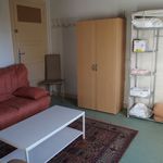 Rent 3 bedroom apartment of 40 m² in Le Chambon-sur-Lignon