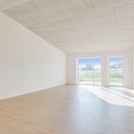Lej 3-værelses hus på 98 m² i Silkeborg