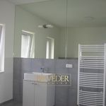 Rent 1 bedroom apartment of 112 m² in Teplice