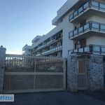 Rent 3 bedroom apartment of 130 m² in Bari