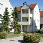 Rent 2 bedroom apartment of 59 m² in Traismauer